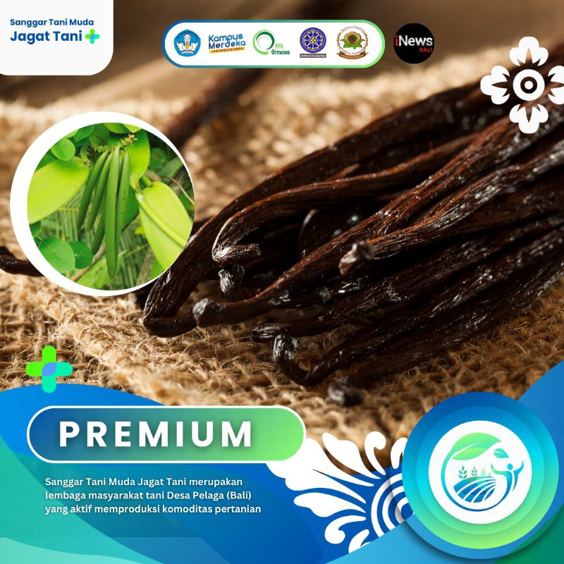 

Vanili Kering Premium Desa Pelaga Bali Super Murah 100gr