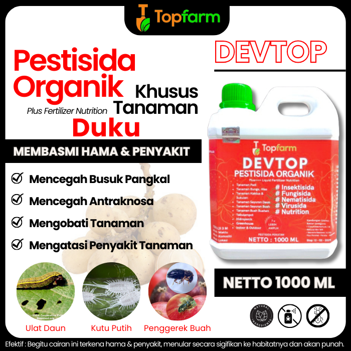 Obat Ulat Buah Duku / Obat Penguat Buah Duku / Obat Buah Duku Biar Gak Rontok / Obat Ulat Buah Duku 