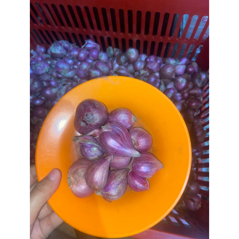 

bawang merah probolinggo 1 KG
