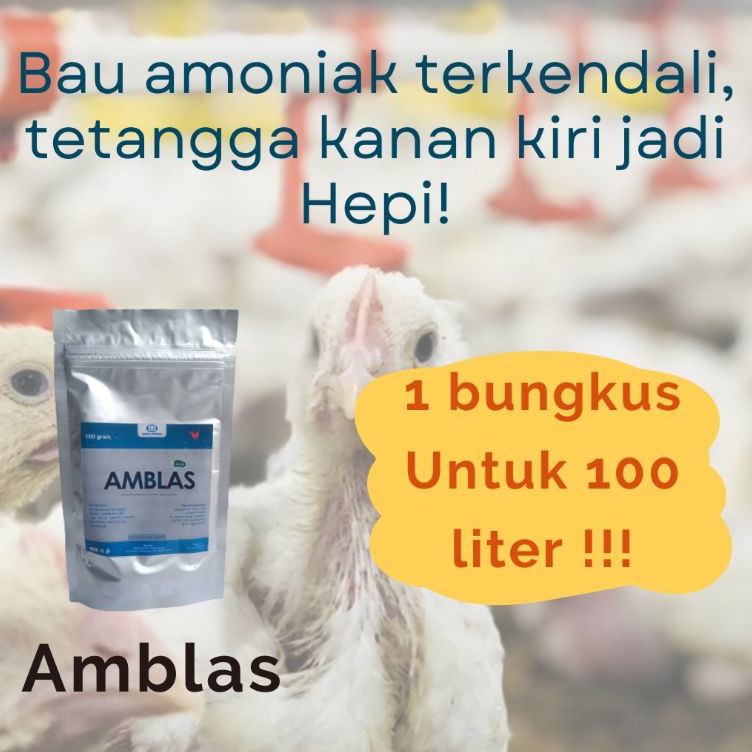 KODE A26B Bubuk penghilang bau amoniak atau amonia kandang ayam Kambing sapi dan pengering sekamAMBL