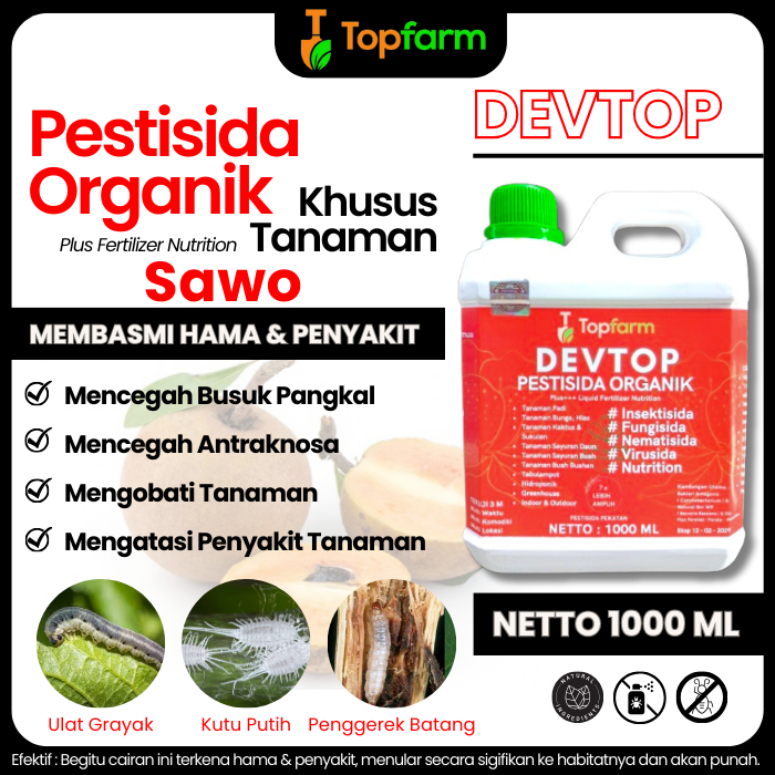Obat Semprot Buah Sawo / Obat Hama Tanaman Sawo / Obat Daun Sawo / Obat Semut Pada Tanaman Buah Sawo