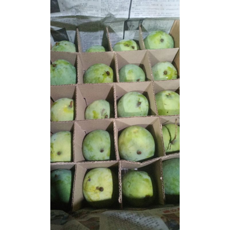 

MANGGA HARUM MANIS SUPER ISI 10KG