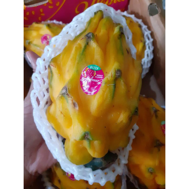 

Buah Naga kuning 1pcs