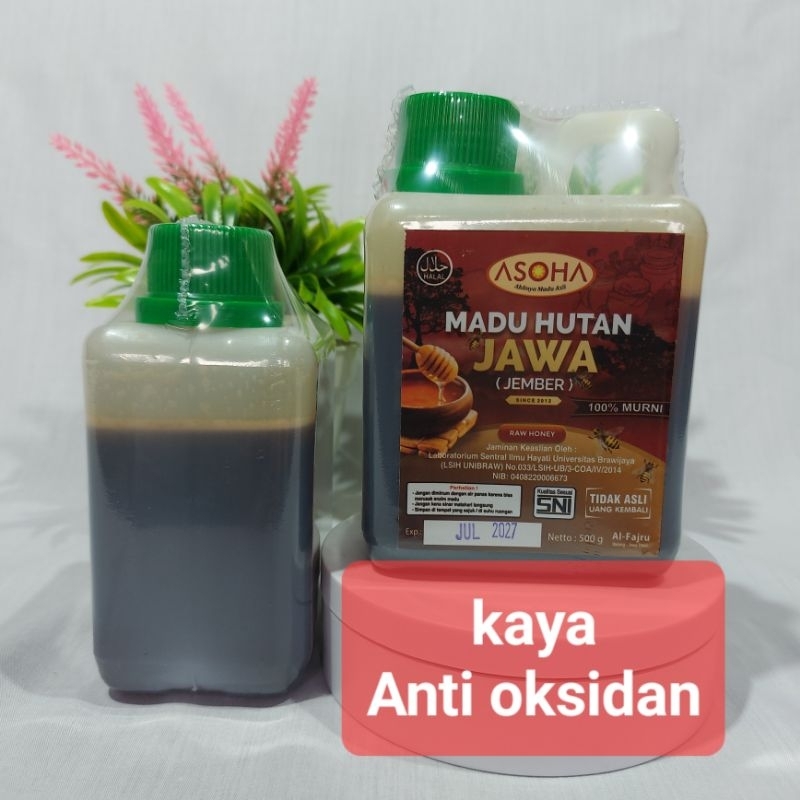 

ASOHA Madu Hutan Liar Jawa Timur 1/2kg | NO TIPU-TIPU | Madu Asli | Madu Murni | Raw Honey | Obati Asam Lambung