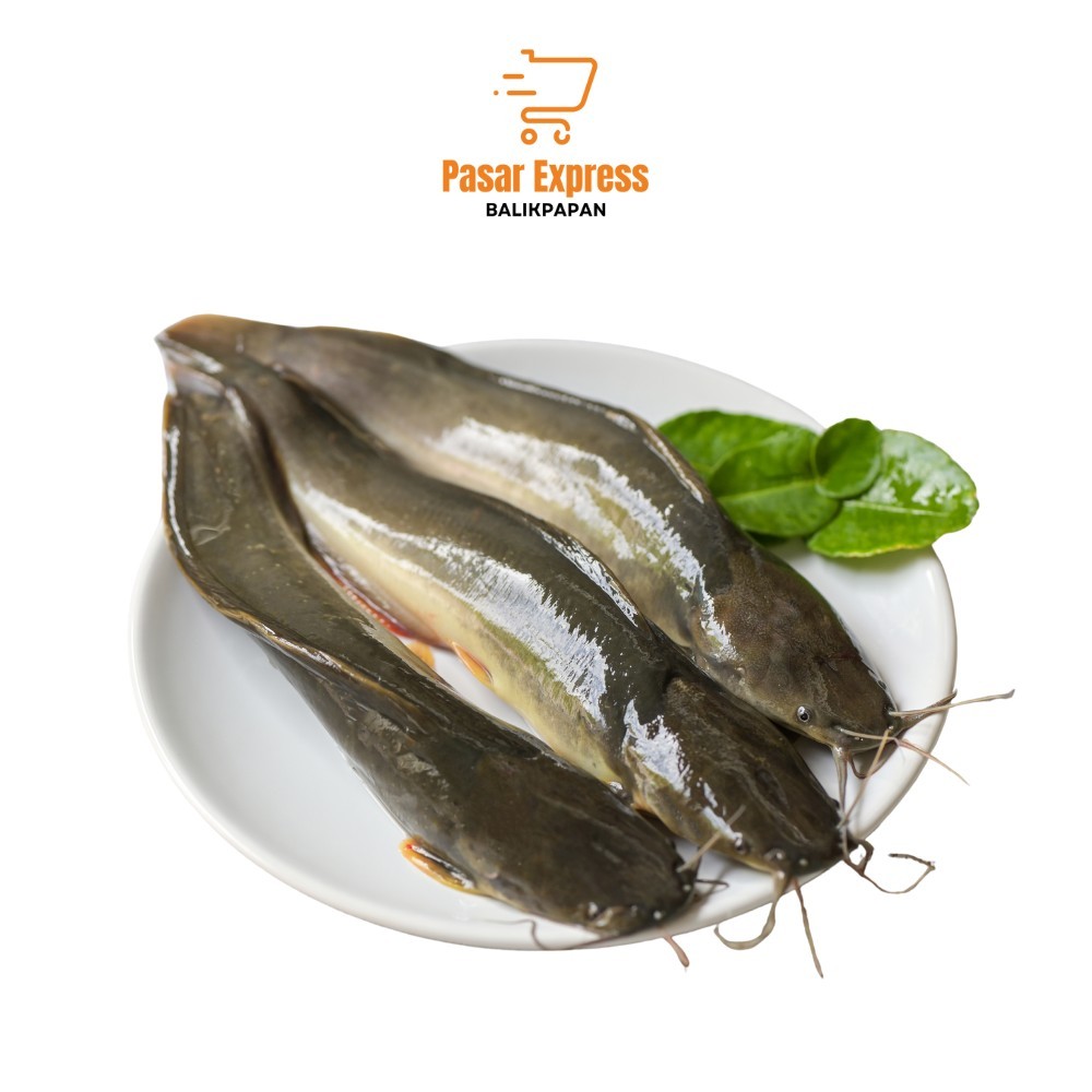 

Ikan Lele Segar (500gr/1kg) - Pasar Express Balikpapan