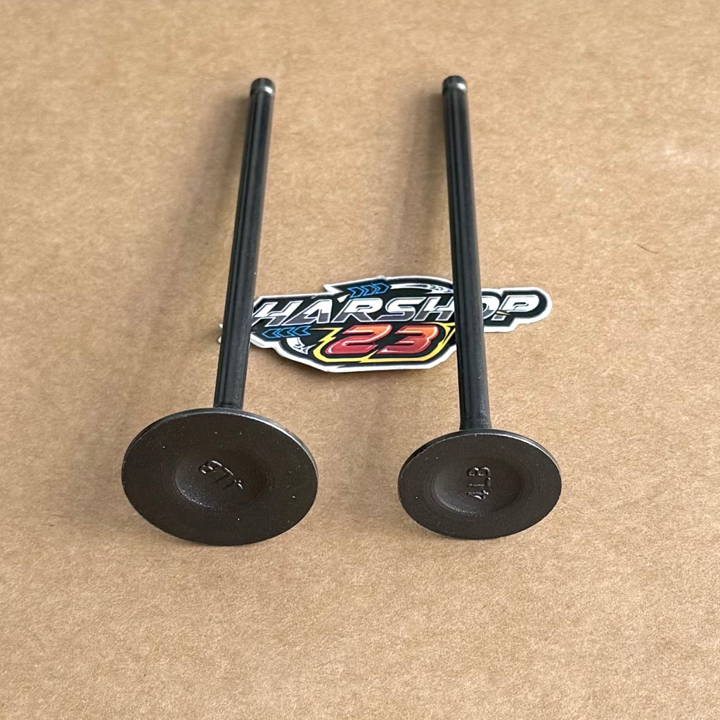 Klep 34 29 31 26 28 24 batang 5 panjang 102 mm 4LB