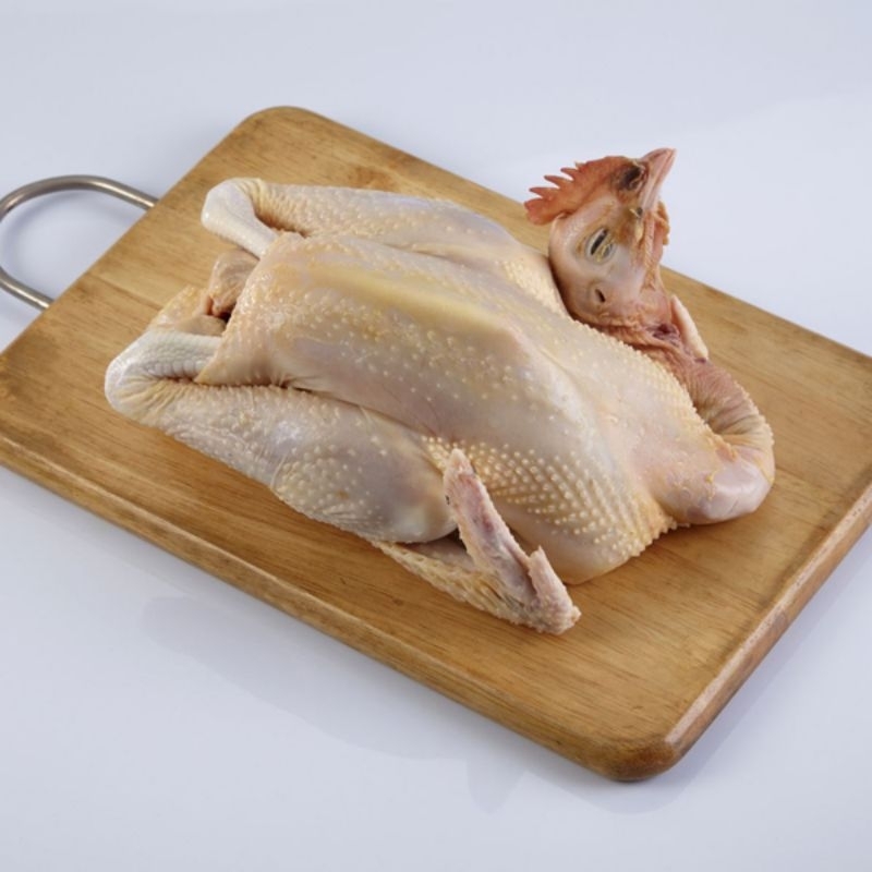 

ayam kampung berat bersih 1.2-1.3 grm utuh,ayam kampung murah,ayam kampung surabaya murah ayam ayam
