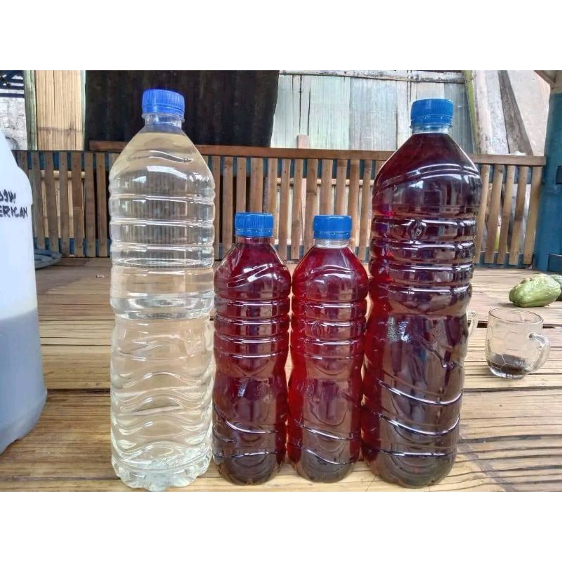 

Minuman tradisional asli NTT