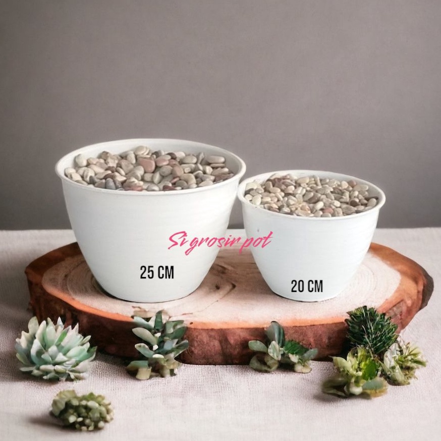 Terbagus POT TAWON DAN POT PIRUS  BATU ALAM sg batu hias dengan pot tawon pot plastik pot bunga batu