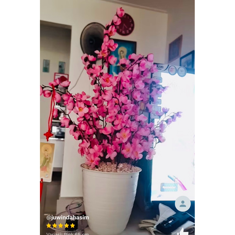 Indiemarkeet Bunga Sakura Pot Tawon Putih Jumbo