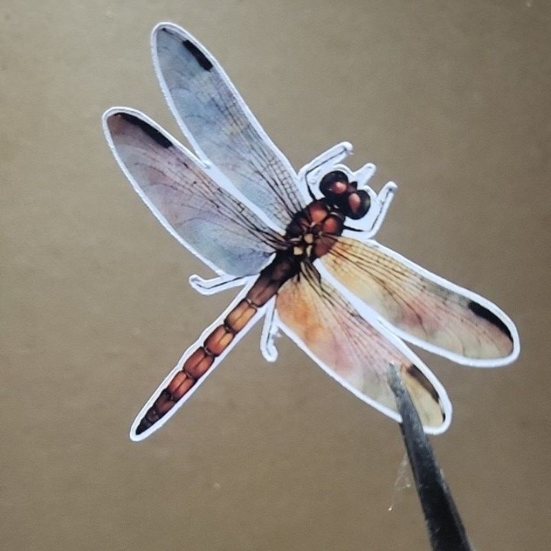 

Dragonfly stickers for JunkJournal ideas