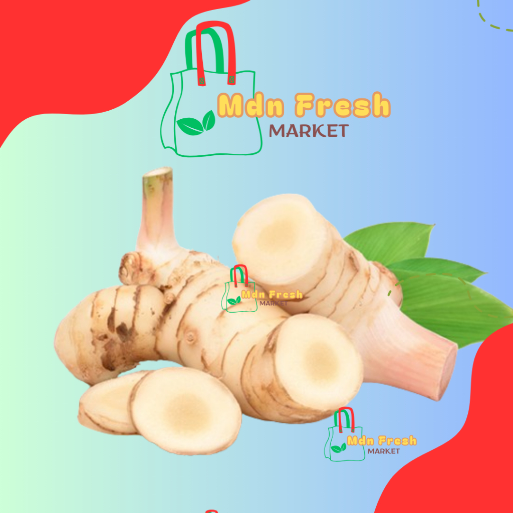 

Lengkuas 200 gram Bumbu Masak Bahan Makanan Sembako Murah Lengkap - MDN Fresh Market