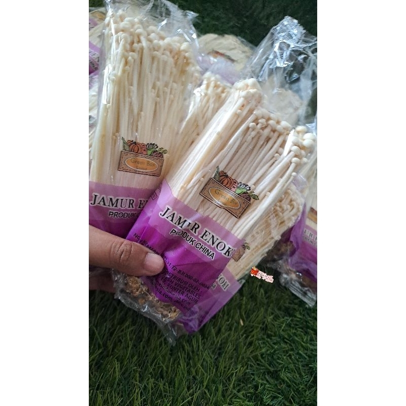 

jamur enoki pink