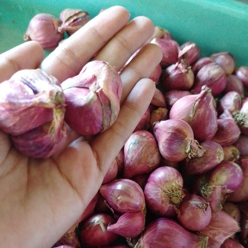 

Bawang merah Brebes premium 1kg