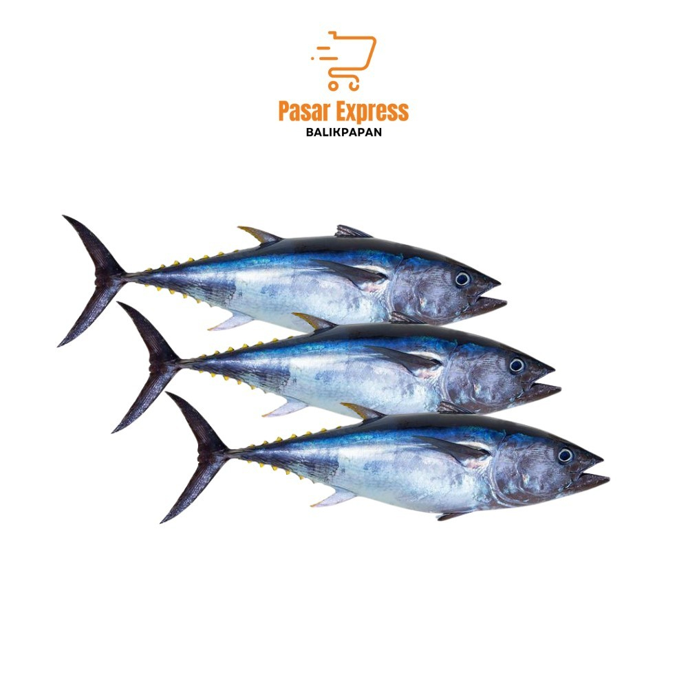 

Ikan Tongkol Segar / Tuna (1Kg) - Pasar Express Balikpapan