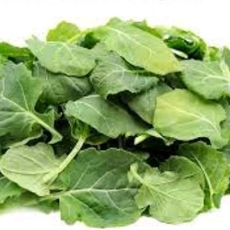 

Baby Kale Hidroponik - 50gr