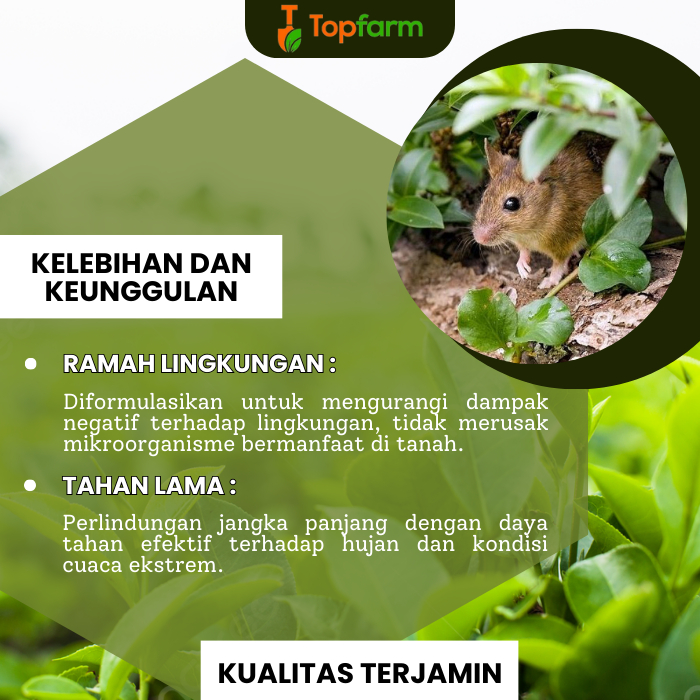 Obat Hama Tikus Sawah Ampuh / Obat Hama Tikus Semprot / Obat Hama Tikus Padi Sawah / Obat Hama Tikus