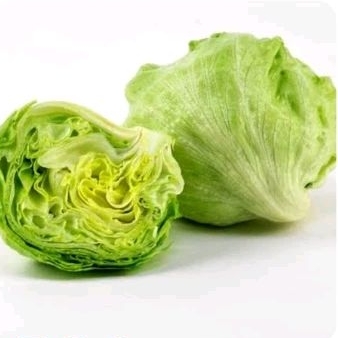 

Lettuce Head Organik - 500gr