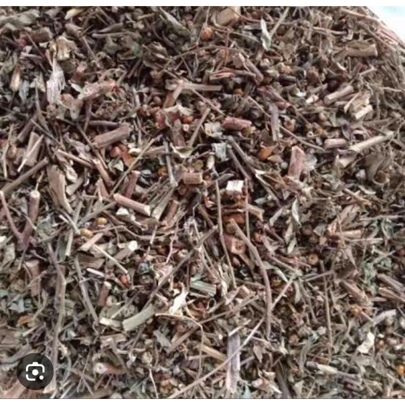 

Daun Tanaman Meniran Kering 150 Gram Obat Herbal Tradisional Termurah