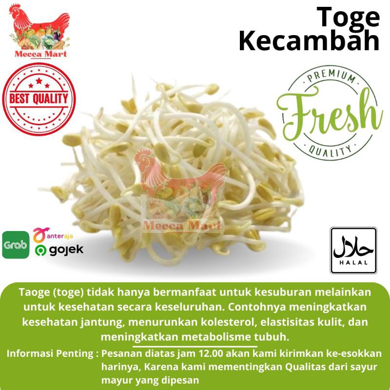 

TOGE KECAMBAH FRESH - SAYURAN FRESH