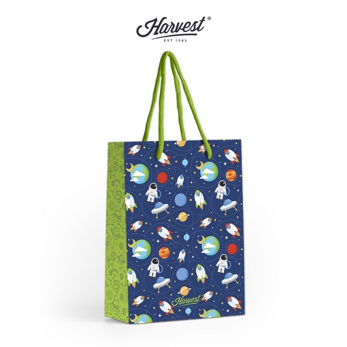 

FLASH SALE Paper Bag Harvest L Playland Astro