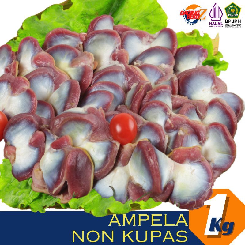 

Ampela 1kilo HALAL FROZEN