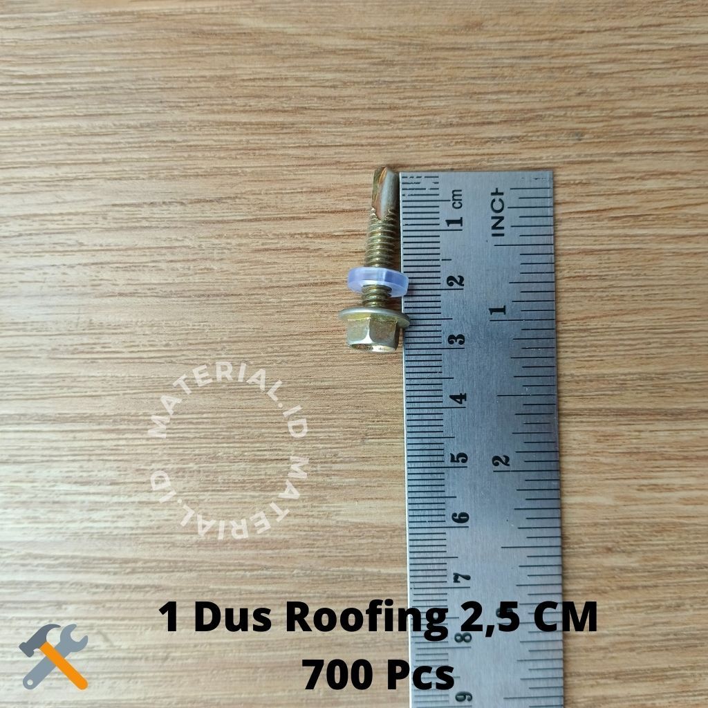 1 Dus Kotak Baut Roofing Skrup Roping 2,5 CM Atap Asbes Fiber Spandek Seng 1 Inch 700 Pcs buah