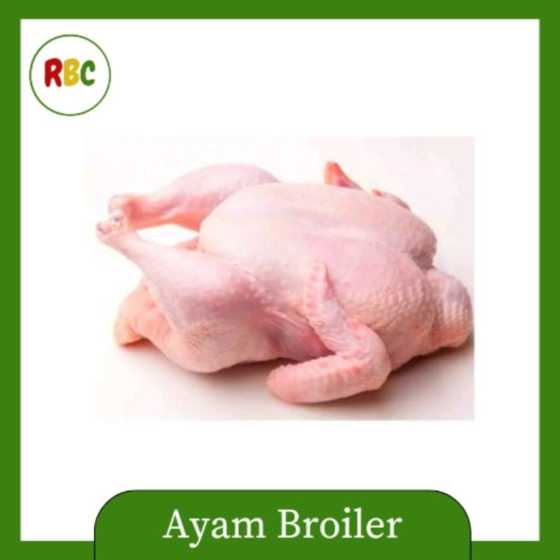 

Ayam Broiler 1 ekor