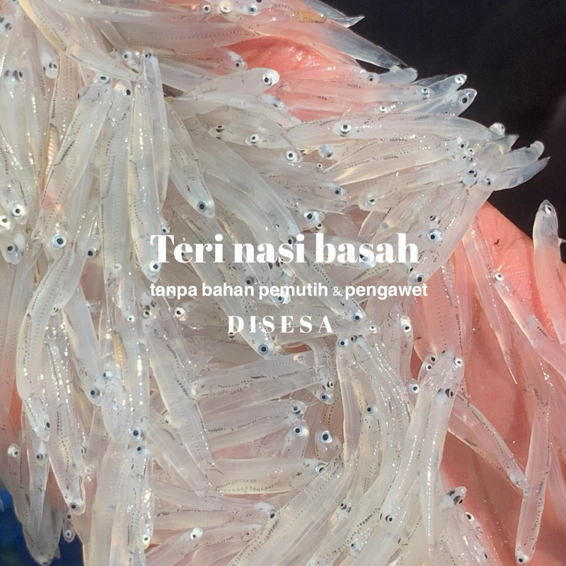 

Disesa - Teri Nasi Basah MPASI Premium - 100% Natural
