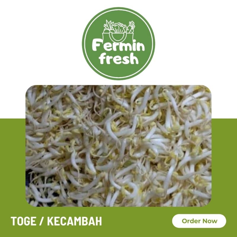 

Fermin Fresh, Toge segar 250gr