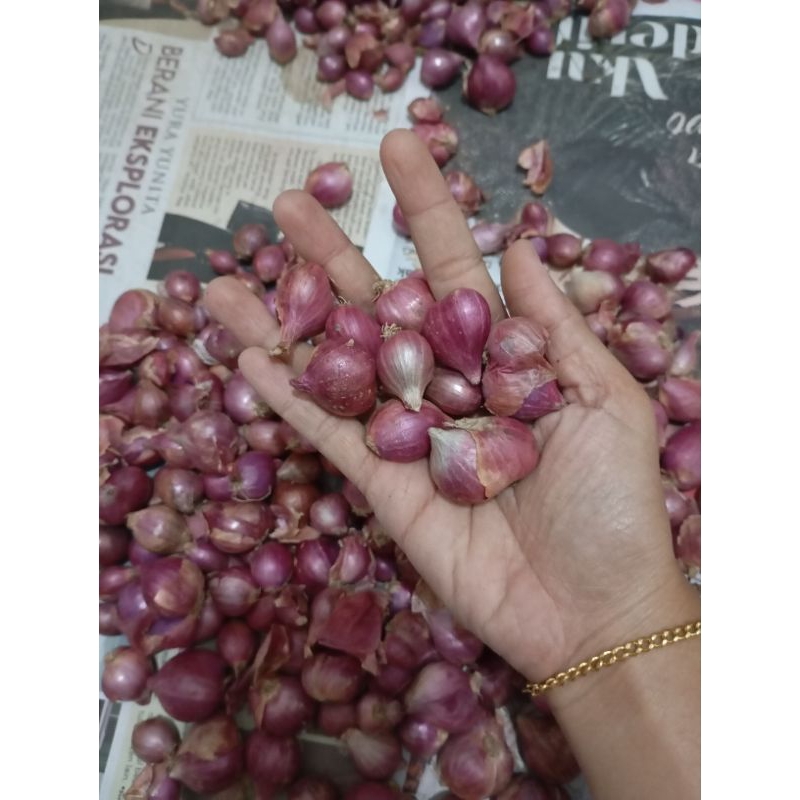 

Bawang Merah SUPEEEEER