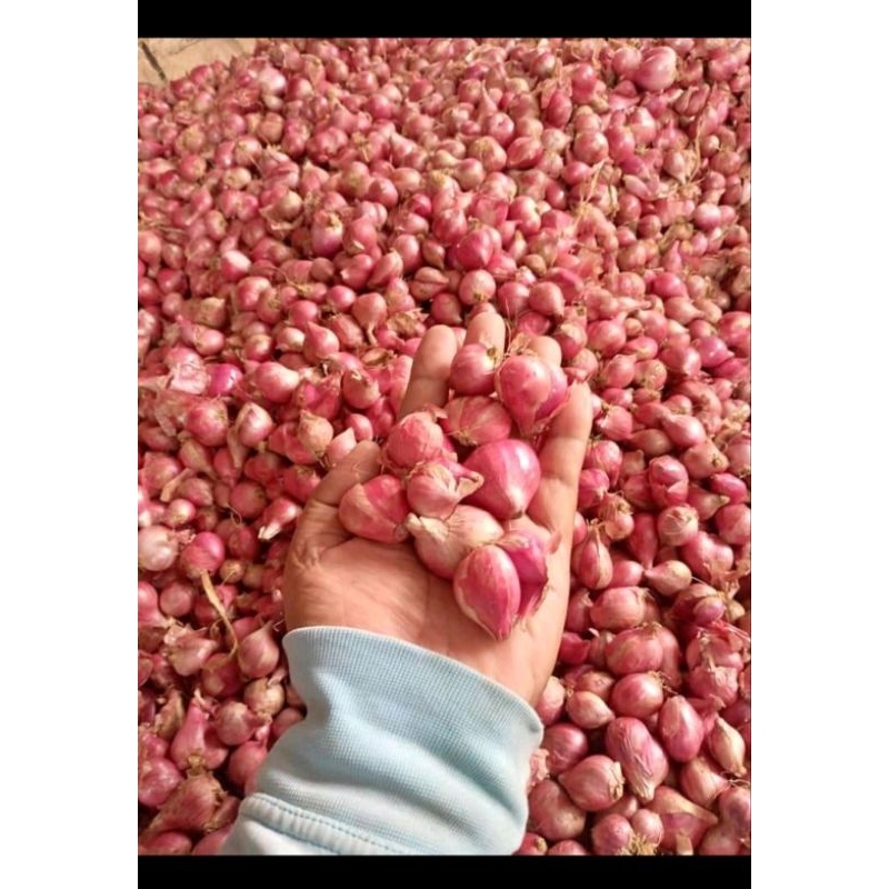 

BAWANG MERAH LOKAL FRESH 1KG