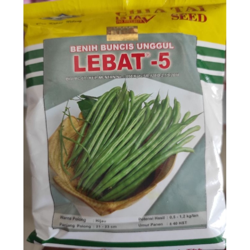 BENIH BUNCIS LEBAT 5, BENIH BUNCIS UNGGUL - CAP KAPAL TERBANG