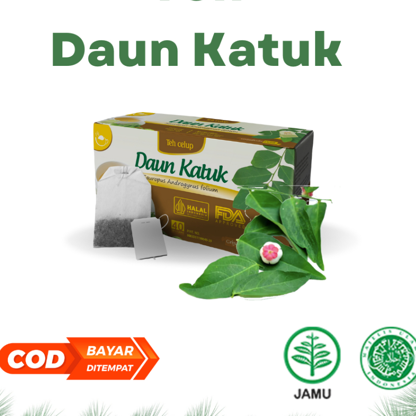 

Daun katuk Teh Celup griya herba isi 20 kantong membantu melancarkan Air Susu Ibu Asibosster