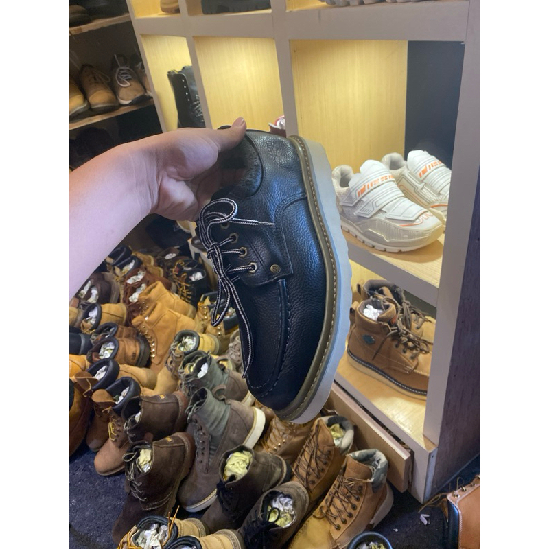 caterpillar moctoe hitam