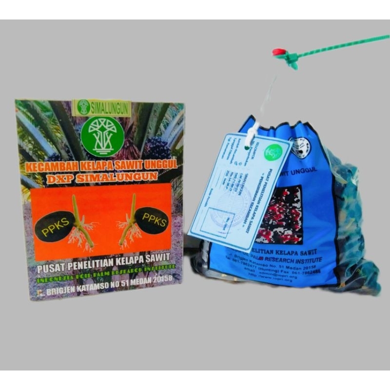 bibit benih kecambah kelapa sawit simalungun 250 butir