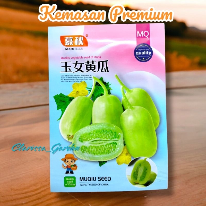 (KEMASAN PREMIUM) BIJI/BENIH TIMUN GIOK JADE GIRL/JADE BOY IMPORT