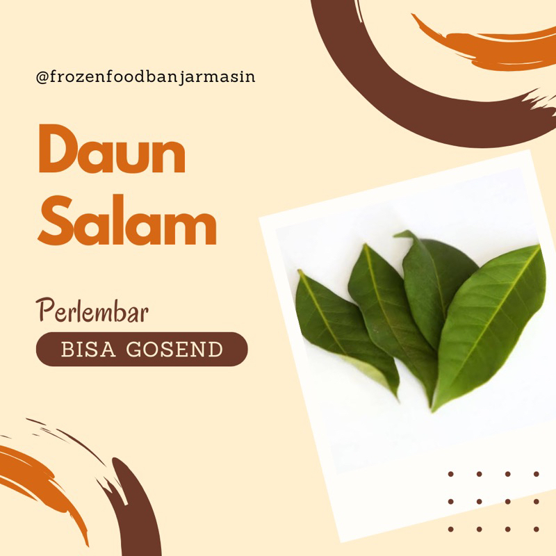 

Daun Salam