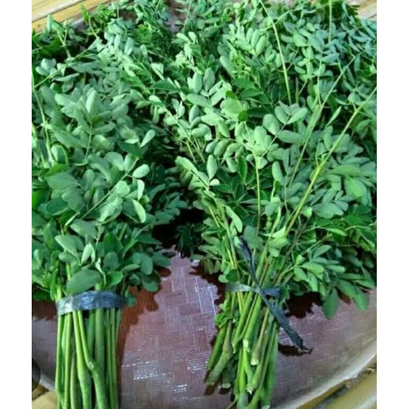 

Daun kelor segar | Sayuran Organik | 250 gr |500 gr | 1 Kg