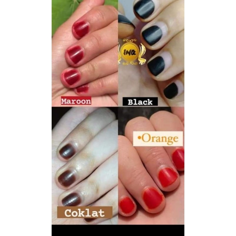 INAI kuku Hitam COKLAT ORENS HALAL//INNAI KUKU HITAM