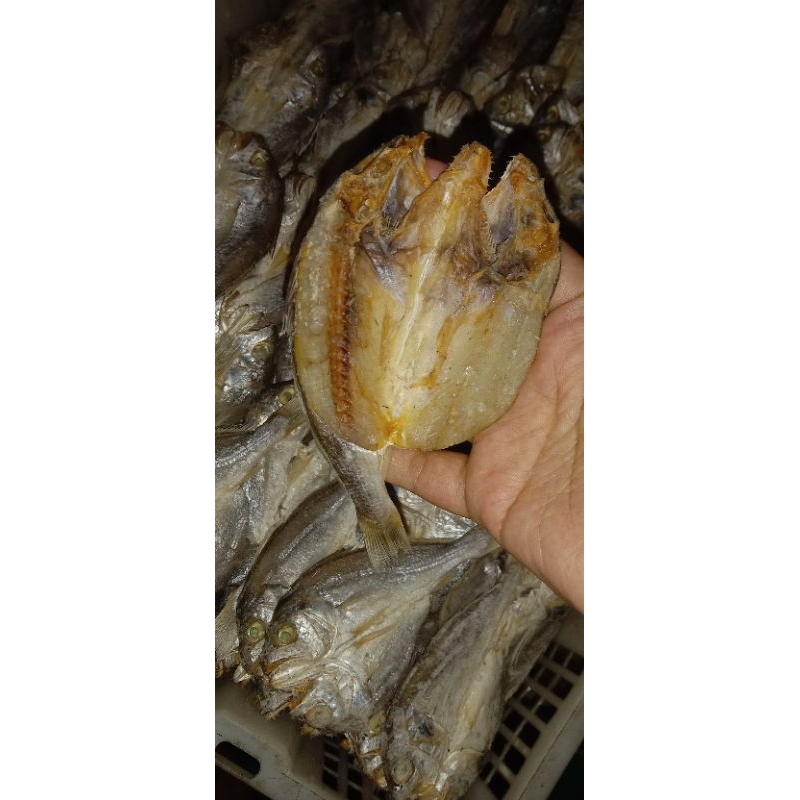 

Ikan asin bulama 250gr