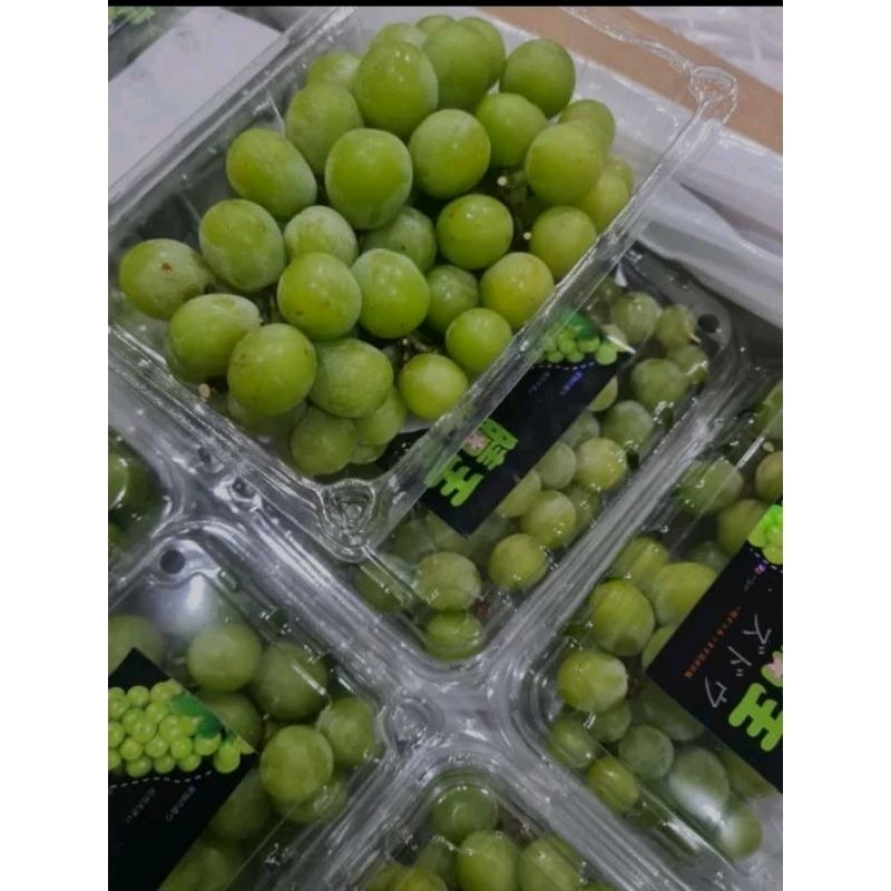 

anggur shine muscat 500gr pengiriman bandung-cimahi