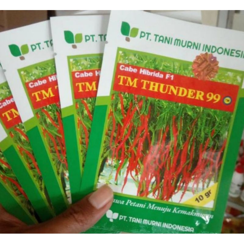 bibit cabai keriting tm THUNDER 99