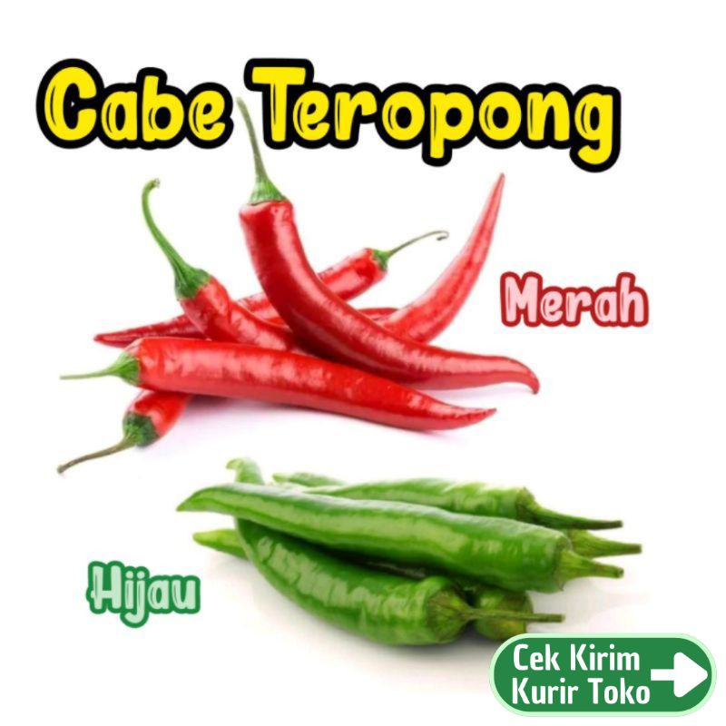 

CABAI MERAH HIJAU BESAR - Cabe Teropong Merah Hijau - TemuPawon