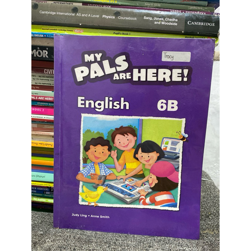 MY PALS ARE HERE ENGLISH 6B