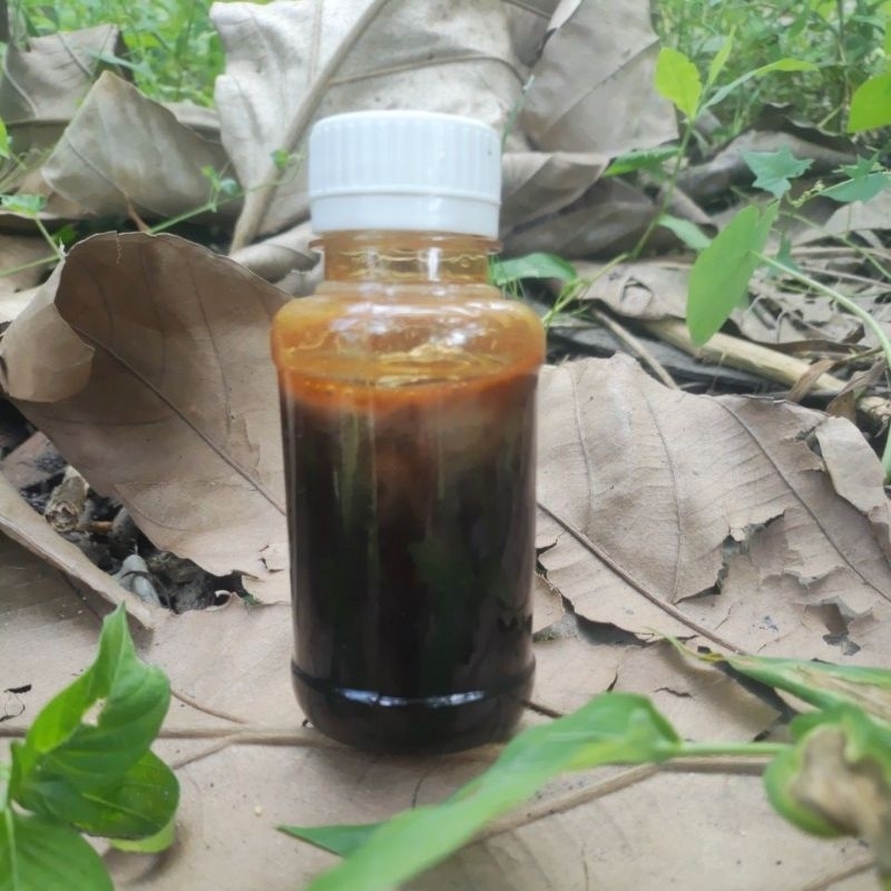 

Madu Akasia Crasicarpa - Madu Riwah