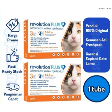 REVOLUTION CAT || TETES KUTU KUCING