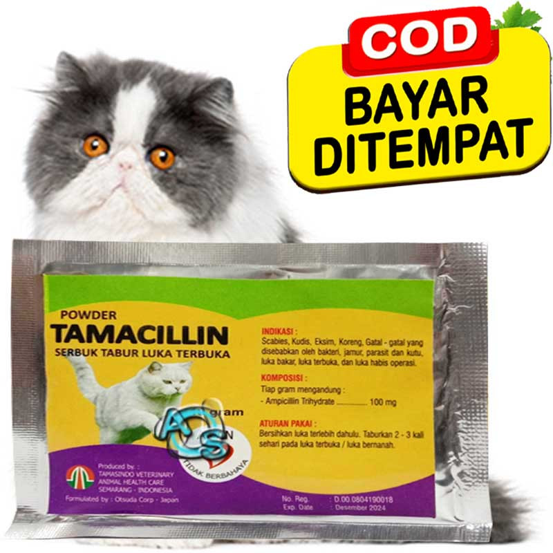 Obat Luka Bakar Kucing Infeksi Kulit Bernanah Borok Tabur Tamacillin Cat Fast And Effective