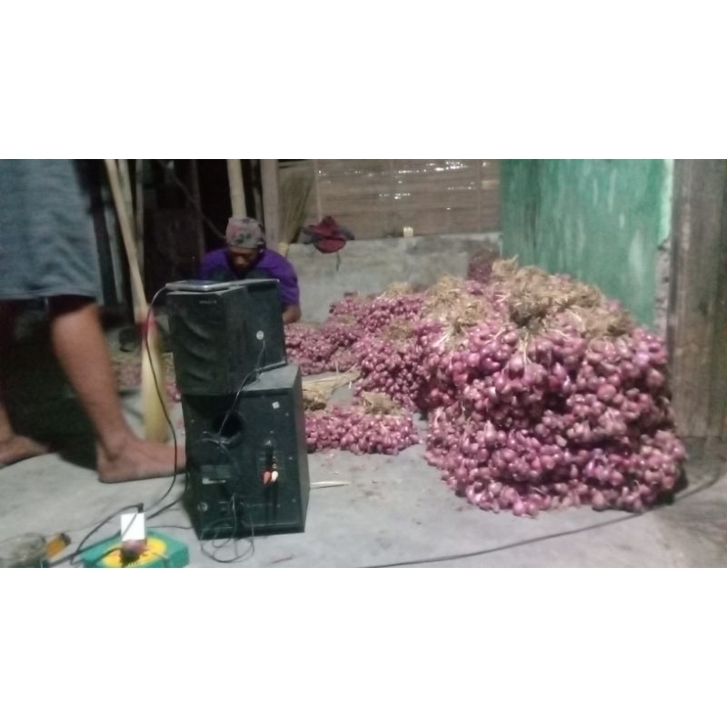 

bawang merah asli brebes