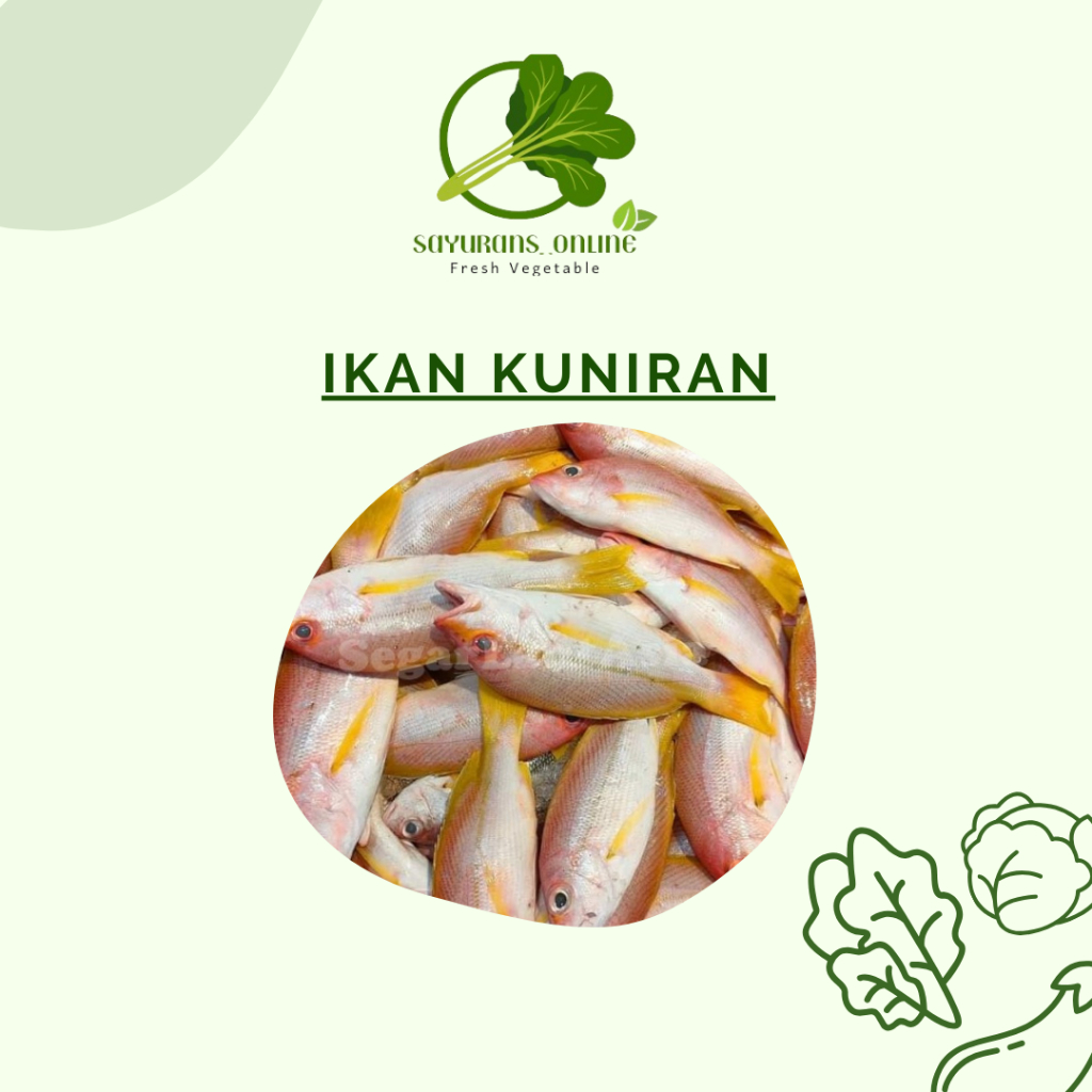 

ikan kuniran fresh 1kg